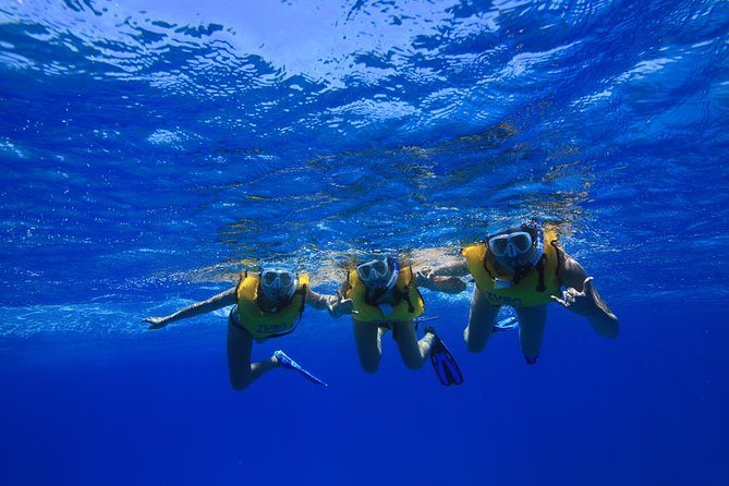 Turtle Canyons Snorkel Excursion from Waikiki, Hawaii